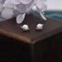 Sterling Silver Mother Of Pearl Planet Stud Earrings, thumbnail 3 of 12
