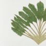 Nicobar Single Green Palm Print And Herringbone Border, thumbnail 2 of 4