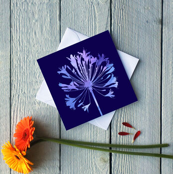 Agapanthus No.Two, 2 of 2