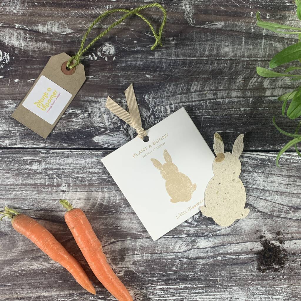 Plant A Bunny Seed Paper Card, 1 of 7