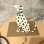Hand Illustrated Sitting Dalmatian Card With Tiny Bell, thumbnail 1 of 3