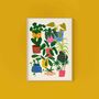 House Plants Collection Art Print, thumbnail 1 of 2