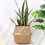 Seagrass Belly Basket For Storage Plant Pot, thumbnail 5 of 5