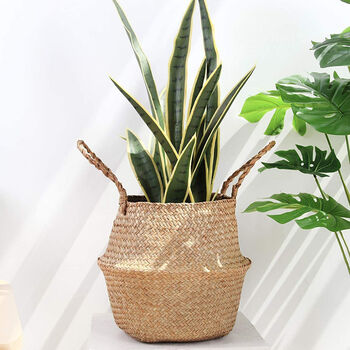 Seagrass Belly Basket For Storage Plant Pot, 5 of 5