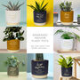 Personalised Thinking Of You Indoor Plant Pot, thumbnail 3 of 6