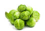 Brussels Sprouts Plants 'Brigitte' Plug Plants, thumbnail 1 of 8