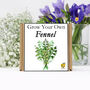 Gardening Gift. Grow Your Own Herbs. Fennel Seeds Kit, thumbnail 2 of 4