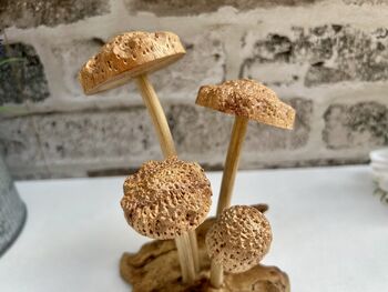 Hand Carved Shitake Wood Mushrooms On Driftwood Base, 6 of 11
