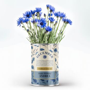 Grow Your Own Birth Flowers Tin Personalised Name Gift, 6 of 12