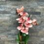 Large Peach Artificial Silk Orchid, thumbnail 6 of 7