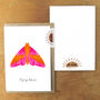 Rosy Maple Moth A6 Greetings Cards, thumbnail 3 of 7