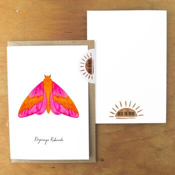 Rosy Maple Moth A6 Greetings Cards, 3 of 7