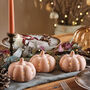 Set Of Three Terracotta Light Up Pumpkin Decorations, thumbnail 1 of 5