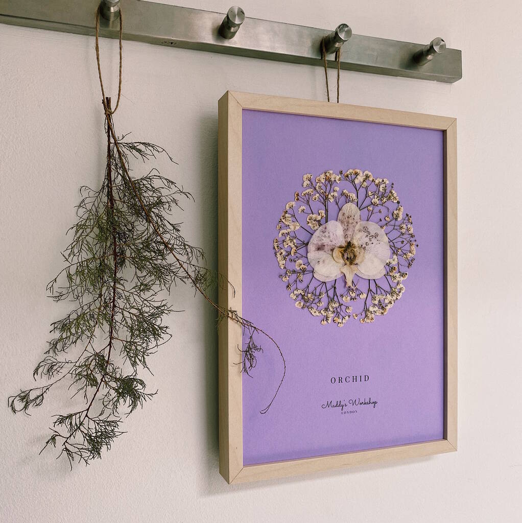 Pressed Purple Orchid Framed Art, 1 of 5