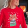Personalised Cat Lover Christmas Jumper, thumbnail 3 of 5