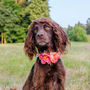 Meadow Peony And Rose Floral Flower Dog Collar, thumbnail 1 of 5
