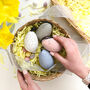 Speckled Ceramic Pastel Easter Eggs, thumbnail 1 of 7