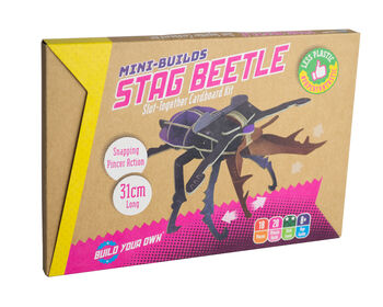 Build Your Own Stag Beetle, 9 of 9