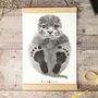 Personalised Baby Otter Footprint Kit, thumbnail 1 of 6