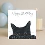 Peeking Cat Happy Birthday Card, thumbnail 2 of 7