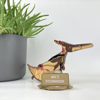 Build Your Own Personalised Pteranodon, 7 of 10