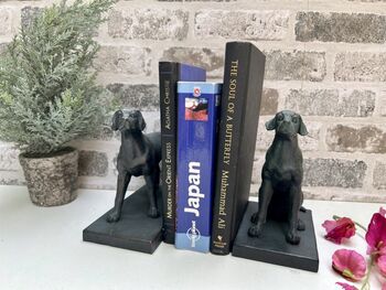 Set Of Two Bronzed Dog Bookends – Labrador And Spaniel, 5 of 12