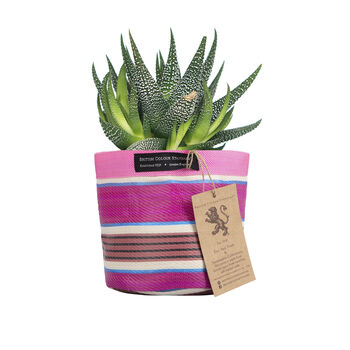 Striped Recycled House Plant Pot Covers Three Sizes, 3 of 12