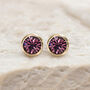 Yellow Gold Plated February Amethyst Birthstone Stud Earrings, thumbnail 4 of 8