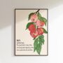 Apple Definition Kitchen Print, thumbnail 1 of 8