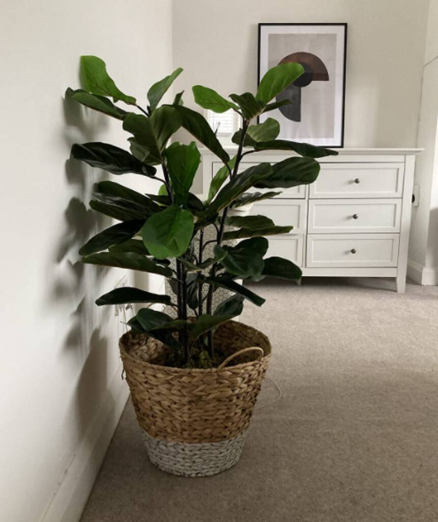 Realistic Artificial Fiddle Fig Plant, 1 of 2