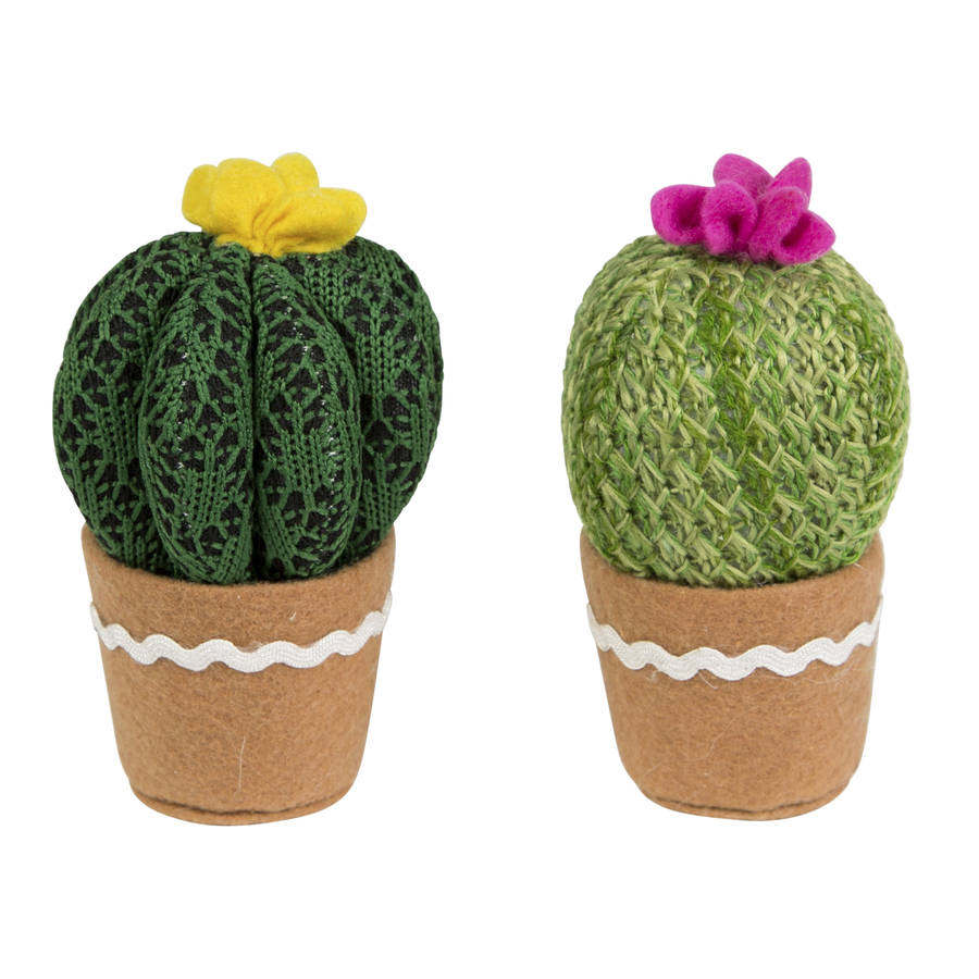 artificial cactus set by marquis & dawe