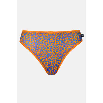 Women's 'Wild Cat' Four Pack Bamboo High Leg Knickers, 6 of 11