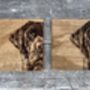 Set Of Two Labrador Coasters, thumbnail 2 of 3