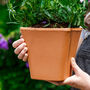 60th Birthday Personalised Plant Pot, thumbnail 2 of 7