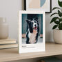 Personalised Pet Memorial Memory Block Keepsake, thumbnail 9 of 9