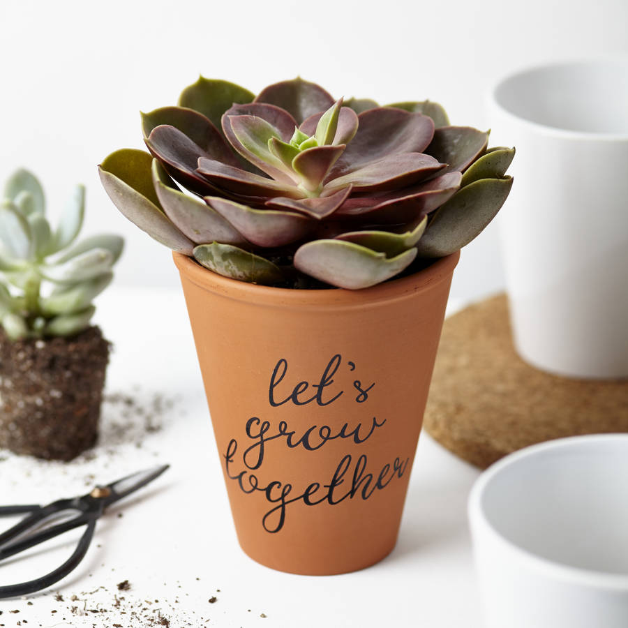 'let's grow together' terracotta plant pot by tillyanna ...