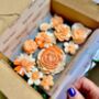 Wax Melt Flower Box Birthday Special Occasion Strong, thumbnail 3 of 11
