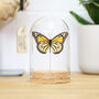 Royal Hrh Monarch Butterfly Glass Bell Jar, thumbnail 1 of 4