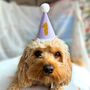 Pet Party Hat, thumbnail 5 of 6