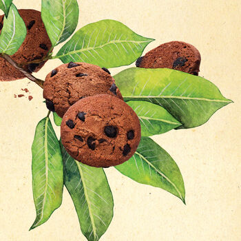 Cookies Botanical Print, 6 of 10