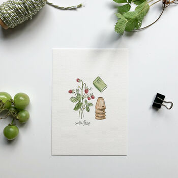 Garden Things Hand Illustrated Postcard Set, 2 of 6