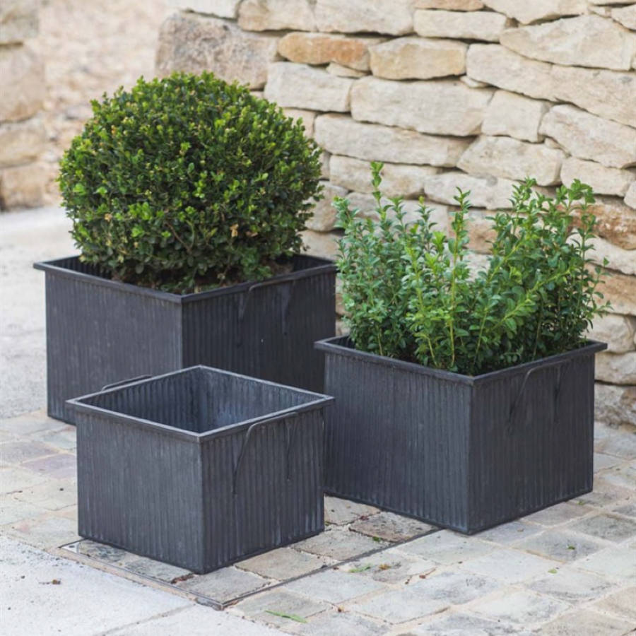 Square Planter By All Things Brighton Beautiful 