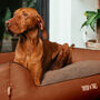Sustainable Luxury Sofa Dog Bed Judy, thumbnail 1 of 7