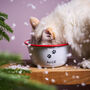 Personalised Christmas Enamel Pet Bowl, thumbnail 2 of 2