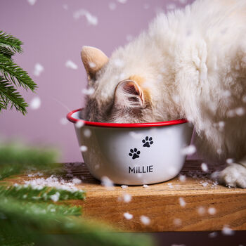 Personalised Christmas Enamel Pet Bowl, 2 of 2
