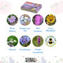 Seed Ball Making Activity Kit With Bee Friendly Wildflower Seeds, thumbnail 8 of 12