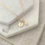 Gold Plated Pisces And Birthstone Necklace, thumbnail 7 of 7