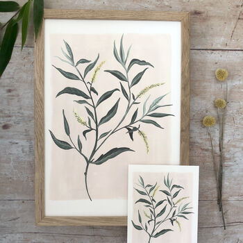 Willow Luxury Botanical Print, 3 of 5