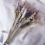 Letterbox Dried Flower Bouquet In Grey And Silver, thumbnail 3 of 4