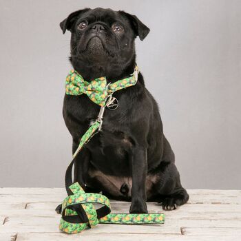 The Alderley Green Botanical Dog Collar Bow Tie And Lead Set, 2 of 5